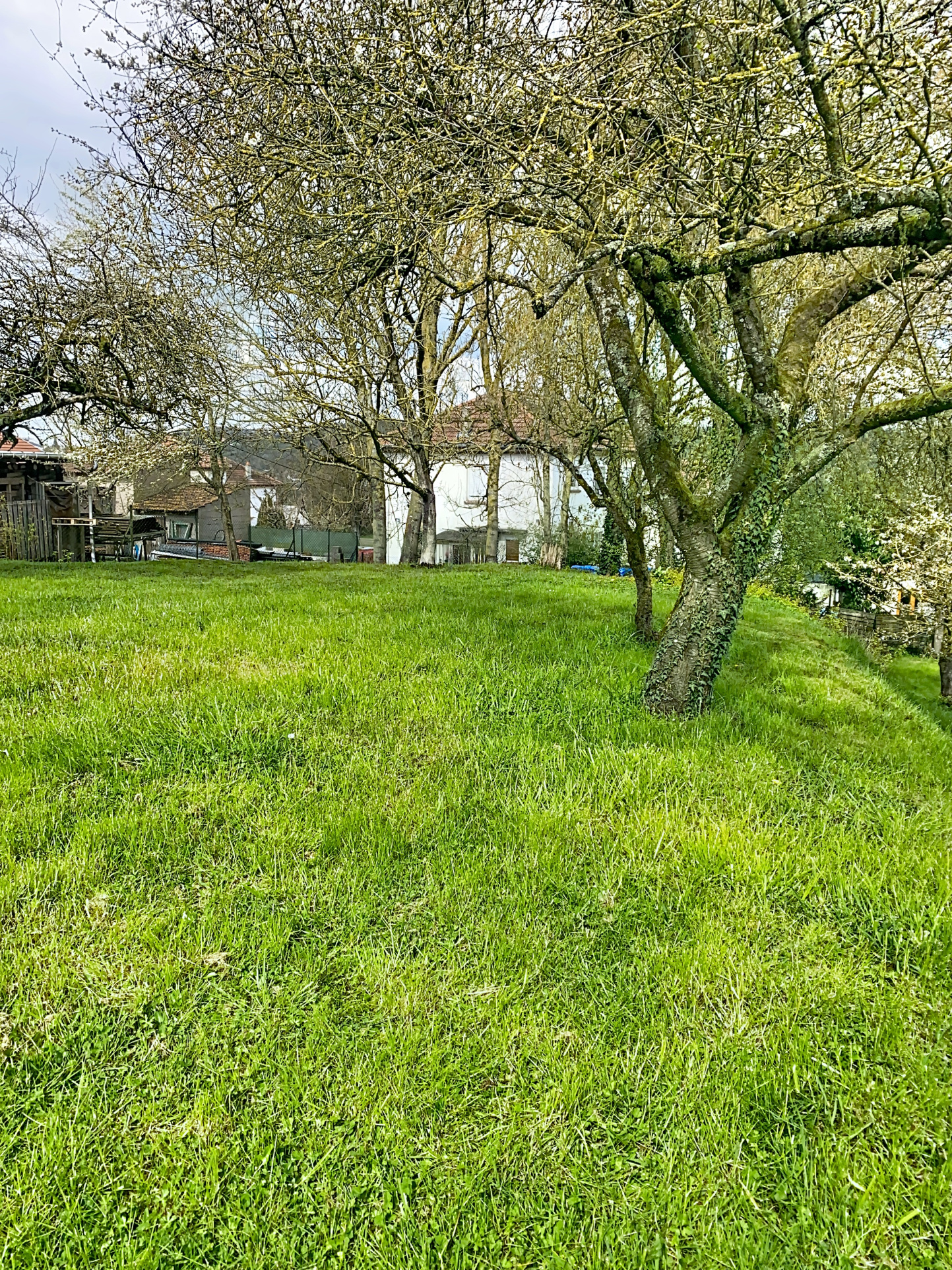 Maison individuelle avec grand jardin arboré et fort potenti